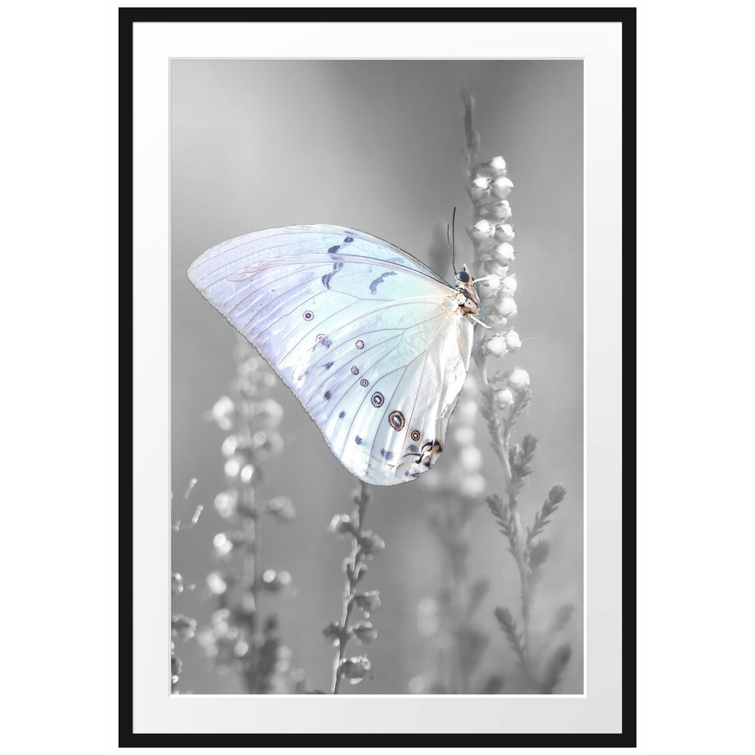 Gerahmtes Poster Schmetterling auf Blütenknospen