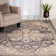 Douty Oriental Indoor Rug