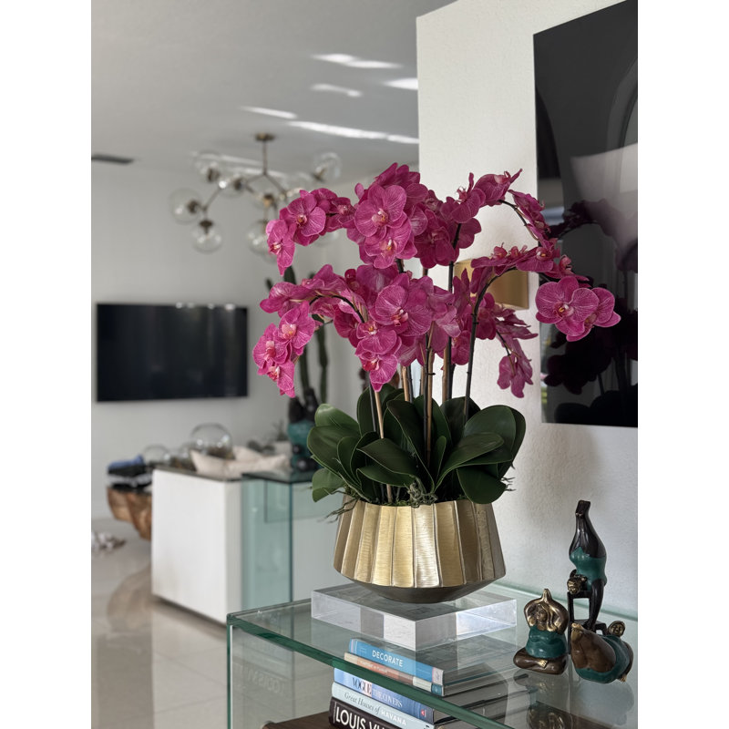 Helena Boat Planter With Phaleanopsis Orchids, Pink