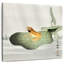 Grenouille ronce sur feuille de lotus-109209744