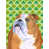 Bulldog (brun et gris) sélectionné