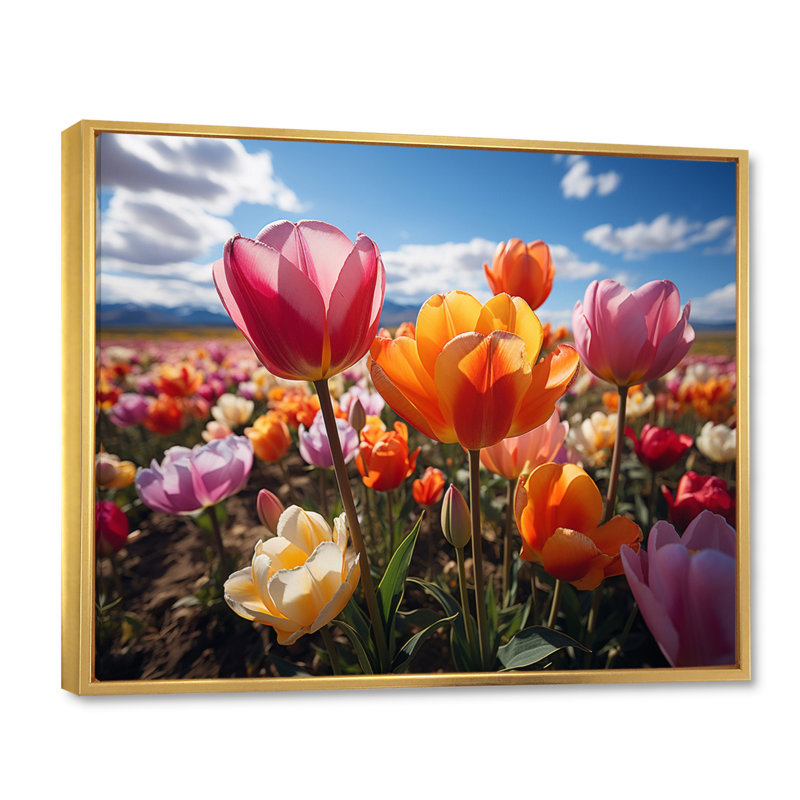 Tulipes «Fields of Color IV», reproduction sur toile, Cadre flottant doré, H 34 po x l 44 po x P 1,5 po