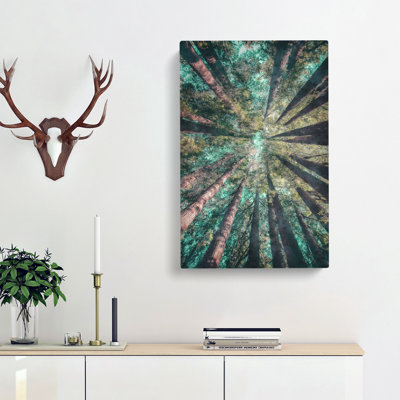 Redwood Trees In California - Wrapped Canvas Print