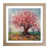 Oak