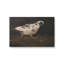 "Birdudes V" par Marian Parsons, reproduction d'art sur toile-1606790781