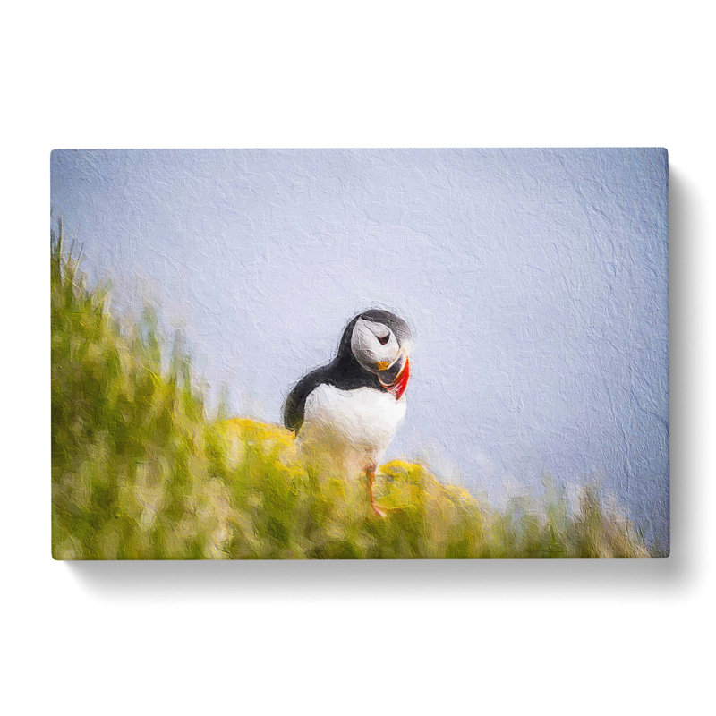 Lone Atlantic Puffin - Wrapped Canvas Painting, 40cm H x 60cm W x 3cm D