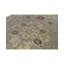 Wool Oriental Area Rug in Cream/Blue