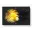 A Beautiful Yellow Flower - Wrapped Canvas Painting-56642785