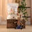 Amigurumi Farmhouse Crochet Kit for Beginners