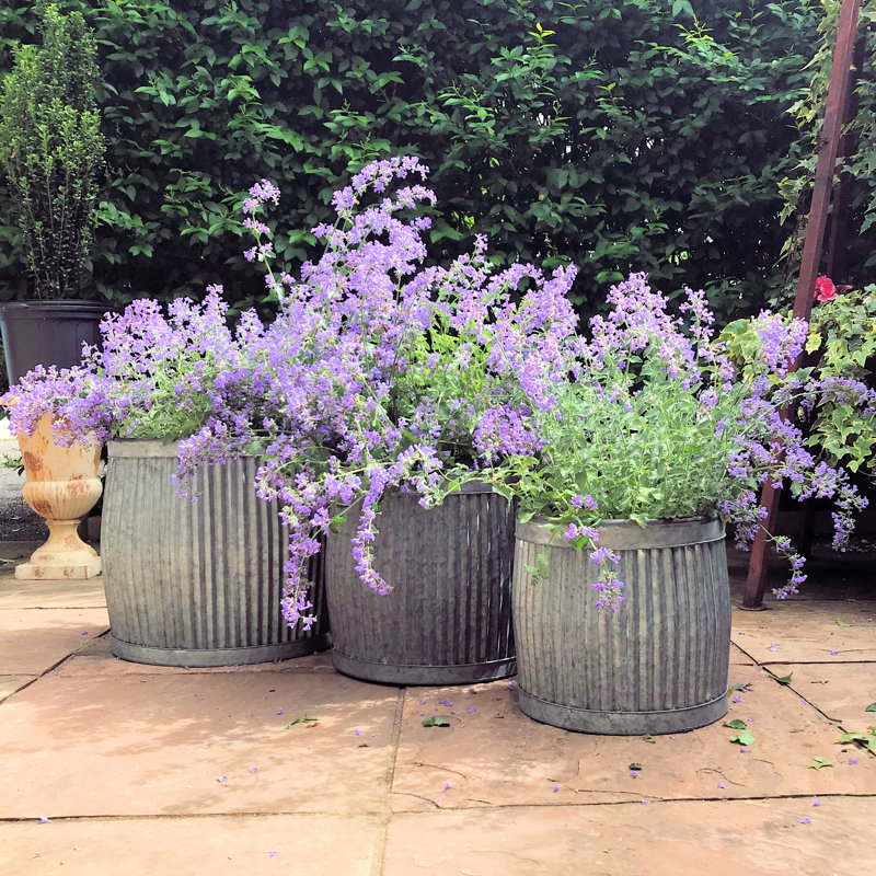 Armanno Metal Pot Planter, Matte Gray