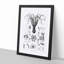 Octopus Illustrations by E.F. Jomard - Picture Frame Drawing Print-55723887-55723890
