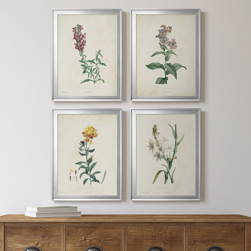 Traditional Botanical I - Ensemble de 4 peintures sur toile encadrées, Argent, H 36,5 po x l 106 po x P 1 po