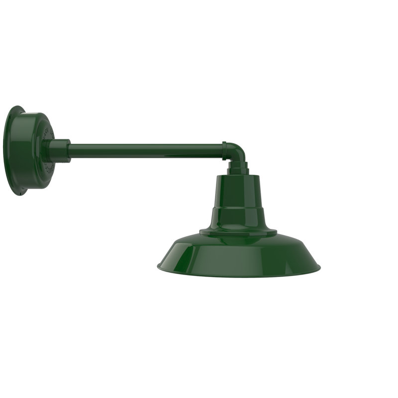Luminaire de grange d'extérieur à DEL Haleigh, H 10,03 po x l 12 po x P 22,5 po, Vert Tage