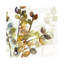 Solarium I 1 Piece Wrapped Canvas Painting-1657030807