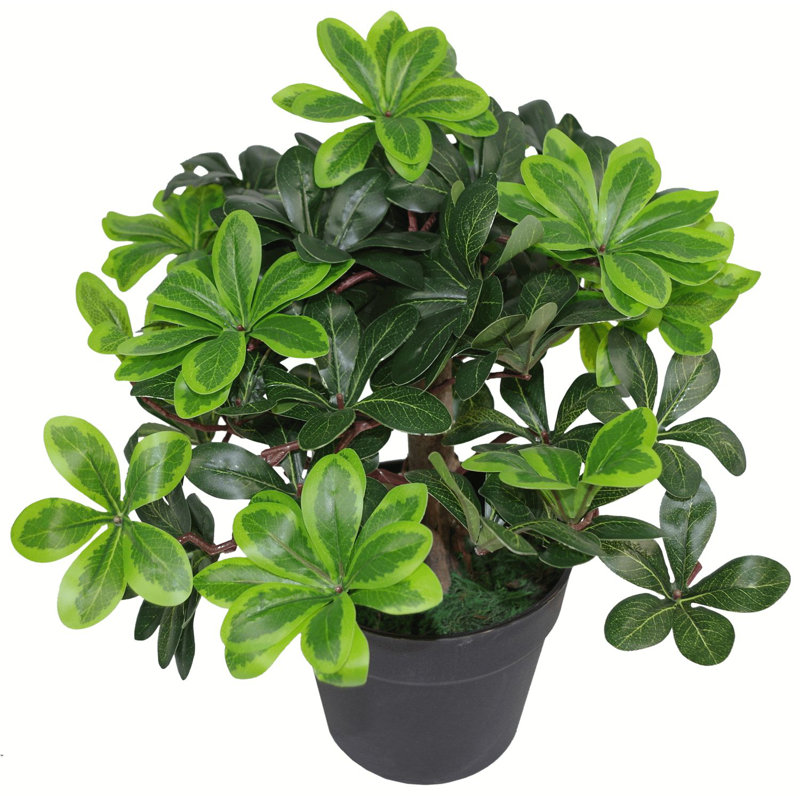 Anjeli 40cm Faux Foliage Plant in Pot