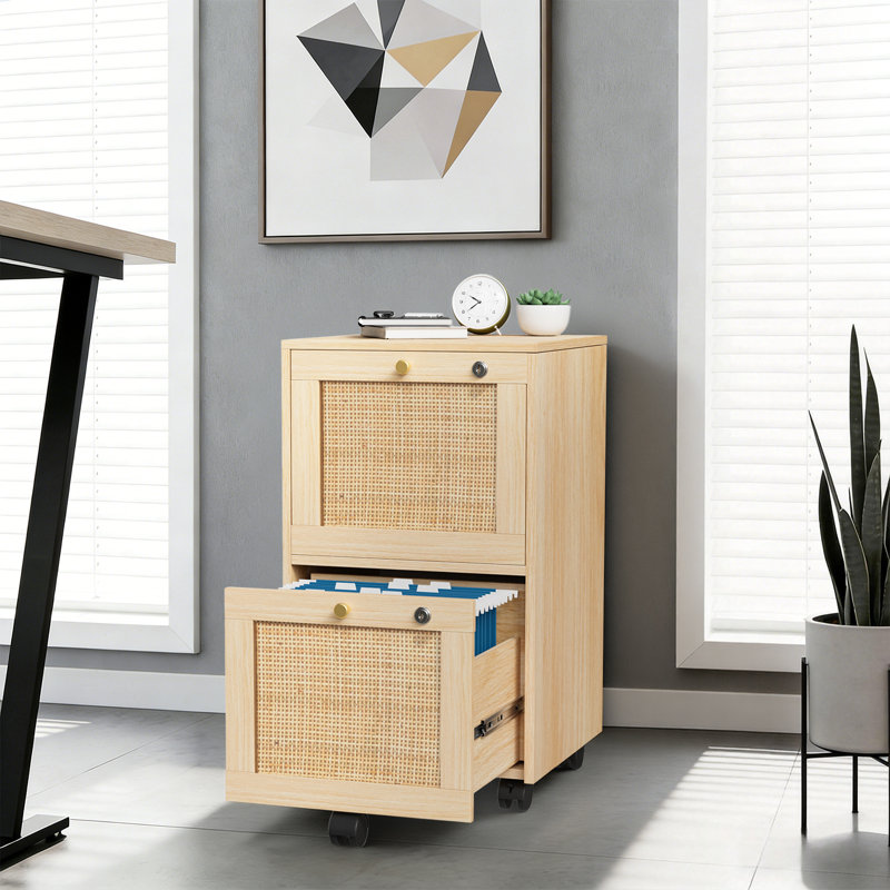 Aristeidis 15.75'' Wide 2 -Drawer Mobile File Cabinet
