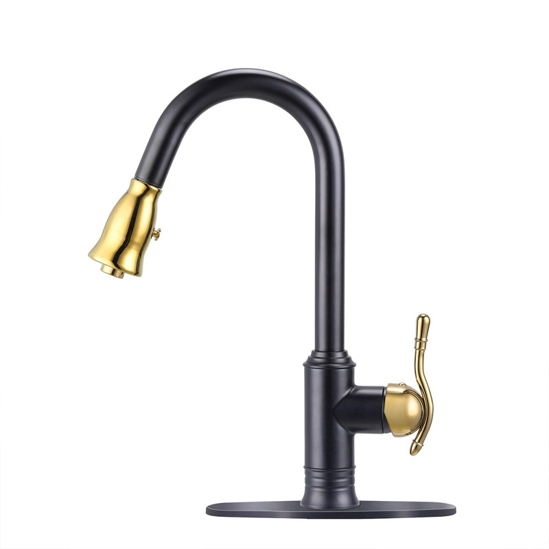 Akicon Pull Down Kitchen Faucet, Black