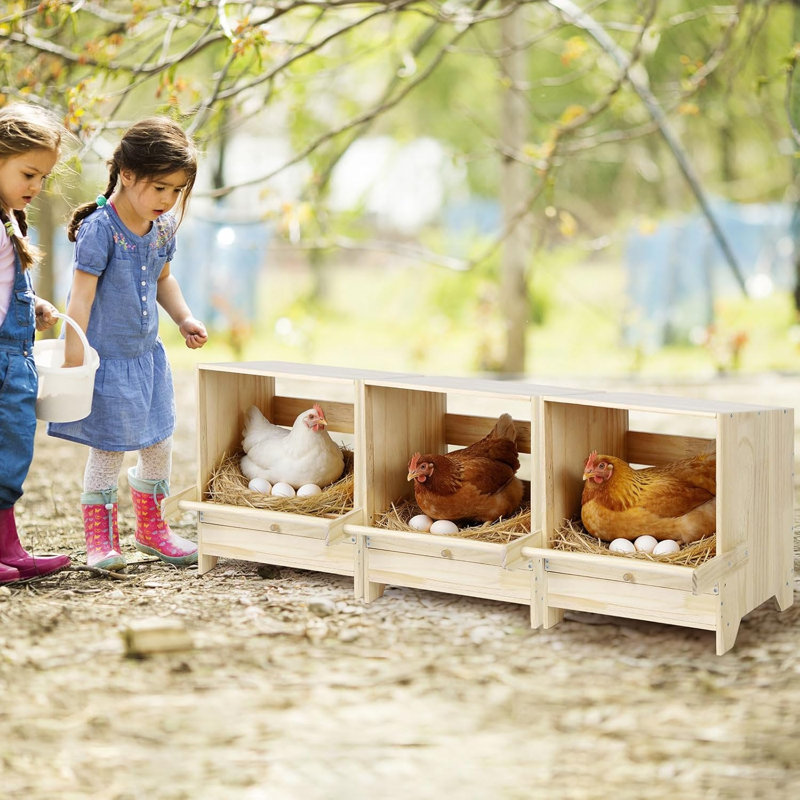 Boîte de nidification à 3 compartiments pour poulets en bois avec perchoirs