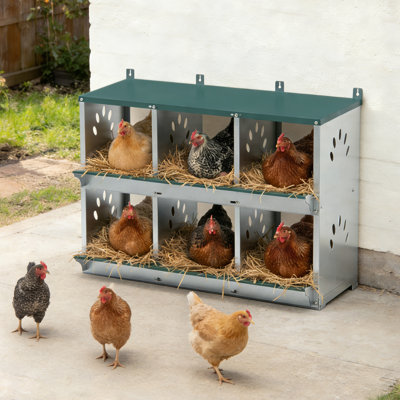 Boîtes de nidification pour poulets, boîte de nidification pour poulets 6 compartiments, boîtes de ponte pour poulets, boîte de nid pour poulets en métal