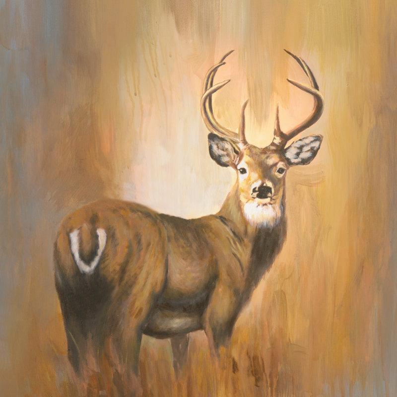 Golden Deer Days - Wrapped Canvas Print, 122cm H x 122cm W x 3.8cm D x 3.8cm D