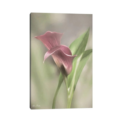 Pink Calla Lily by Lori Deiter - Wrapped Canvas Print
