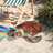 Flat Back Sea Turtle Statue