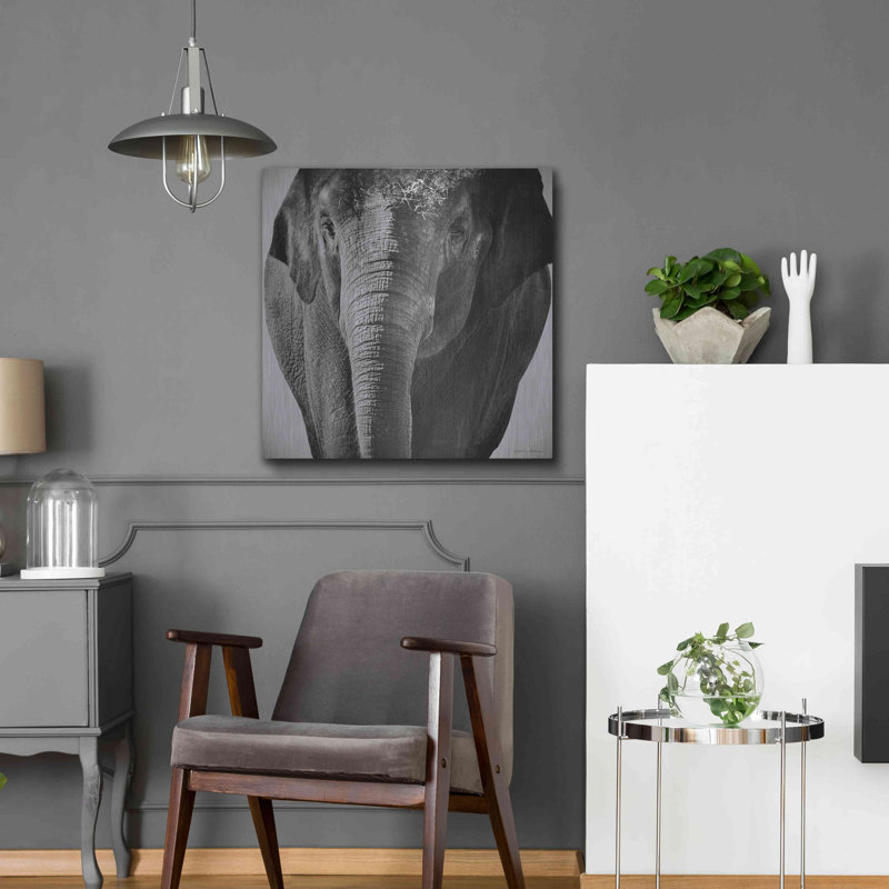 Bungalow Bungalow «Elephant I» par Debra Van Swearingen, art mural en métal, H 24 po x l 24 po