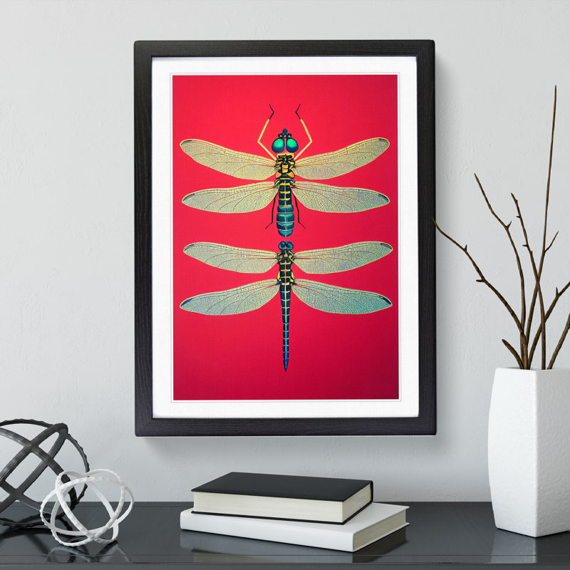 Two Pretty Dragonflies - Print, Black Picture Frame, 66cm H x 48cm W, White