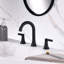 Widespread Bathroom Faucet with Drain Assembly-61067201