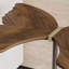 Table d'appoint en forme de papillon, 55 cm (21,7 po), table d'appoint sculpturale moderne avec plateau en noyer et piètement en métal, idéale pour le salon, la chambre ou le canapé.