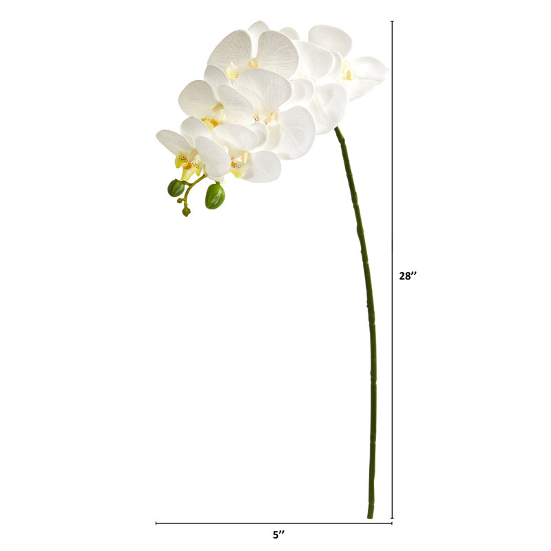 Tige de orchidées artificielle, Blanc