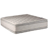 Alwyn Home Pembrooke Full / Double 12'' Plush Memory Foam Mattress and Bed Frame