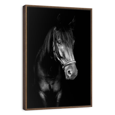 Black Horse In The Dark