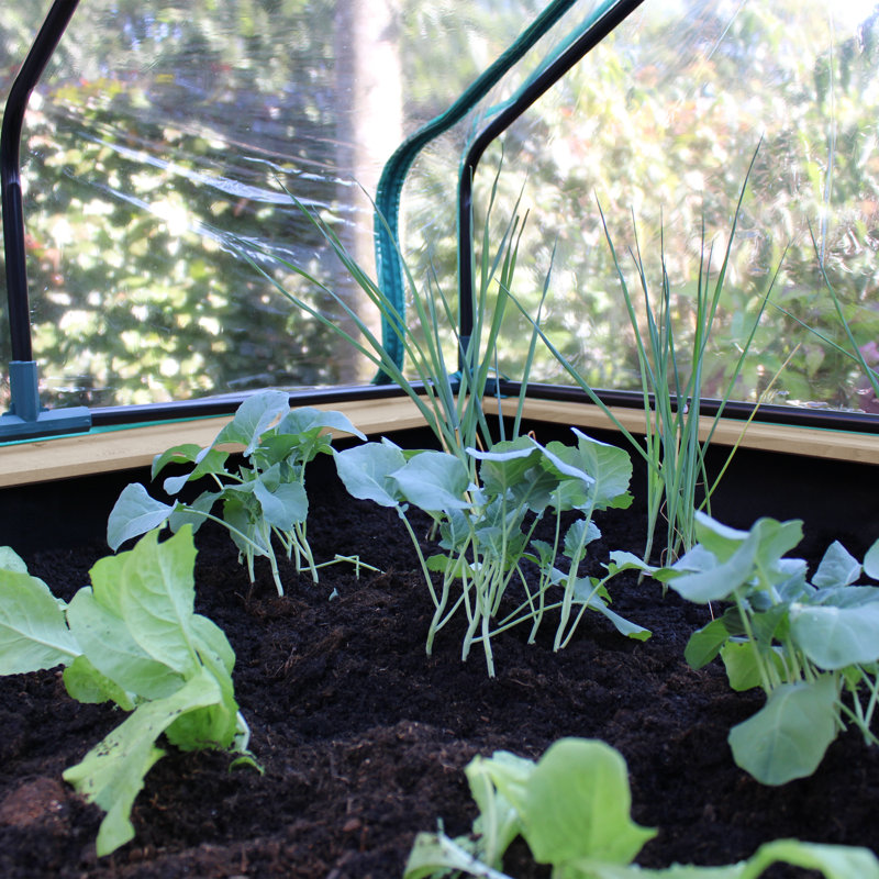 3 Ft W x 3.6 Ft D Mini Greenhouse