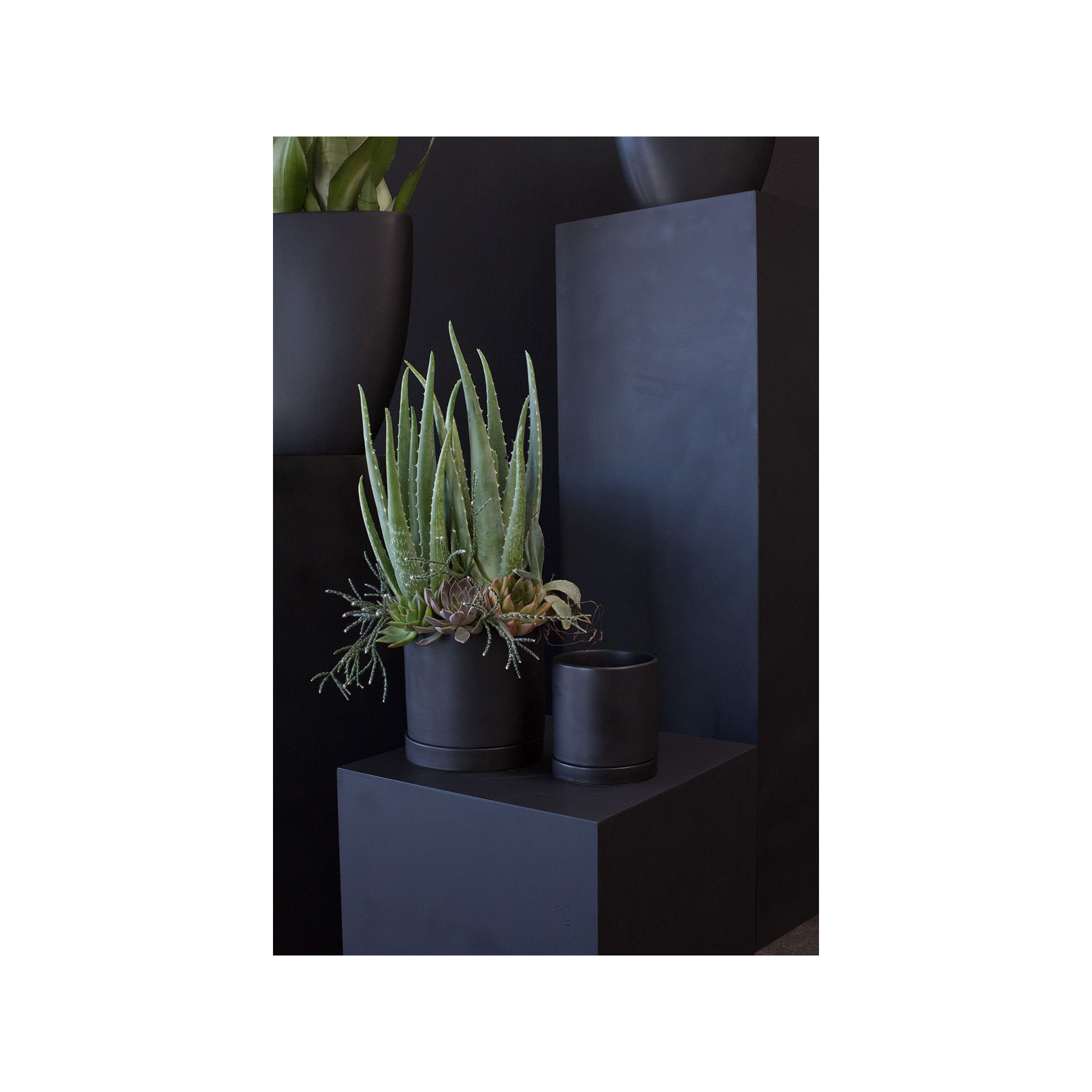 Carlotta Ceramic Pot Planter, 12" H x 12" W x 12" D, Dark Blue