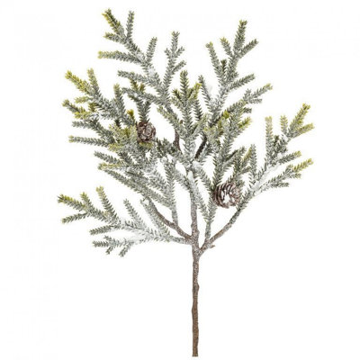 Heavy Snow Branch With Cones