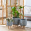 Pot à fleurs contemporain en bois-1406679781