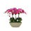 ORCHID IN SMALL OVAL PLANTER