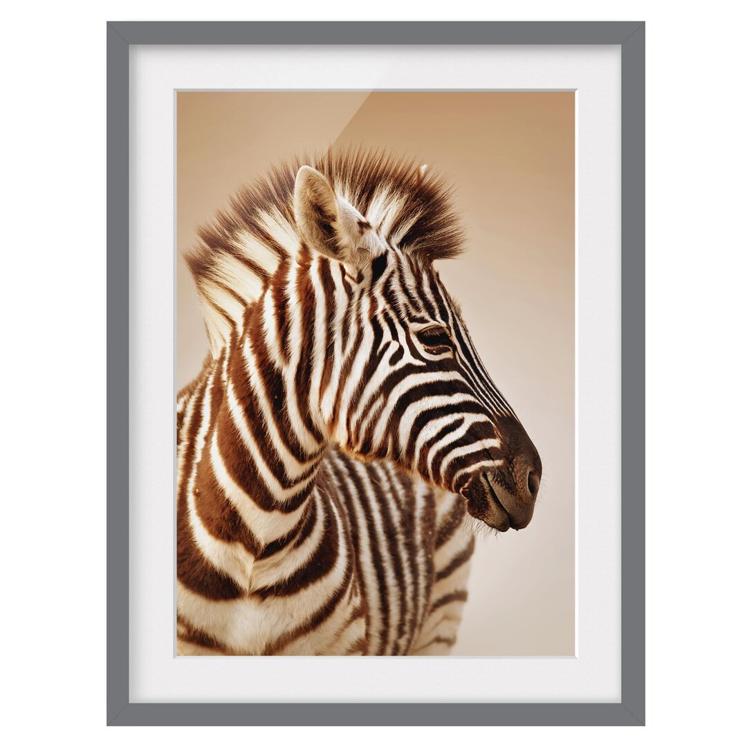 Wandbild Babyzebra