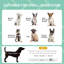 Lit pour chien portatif surélevé Pawhut avec protection contre les rayons UV, 24 po, gris-960483118-960483116