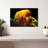 Crowle Perched Parrot Pair-111884596