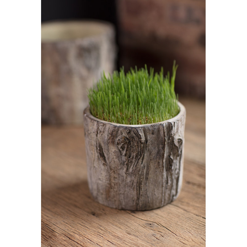 Pot à fleurs en ciment Caines, l 6 po x l 6,75 po x p 6,75 po