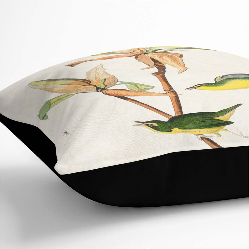 Kentucky Warbler Birds by John James Audubon Cushion with Filling, 40cm H x 40cm W x 15cm D, Black