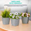 Abellas-Bauzo Pot Planter-1422744772