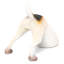 Animals Figurines & Sculptures