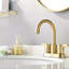 2-handle Bathroom Faucet