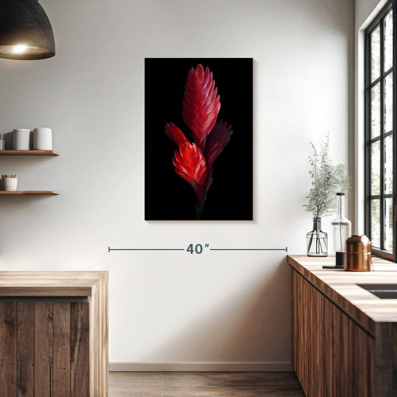 Harnek Bromeliad, 36" H x 24" W