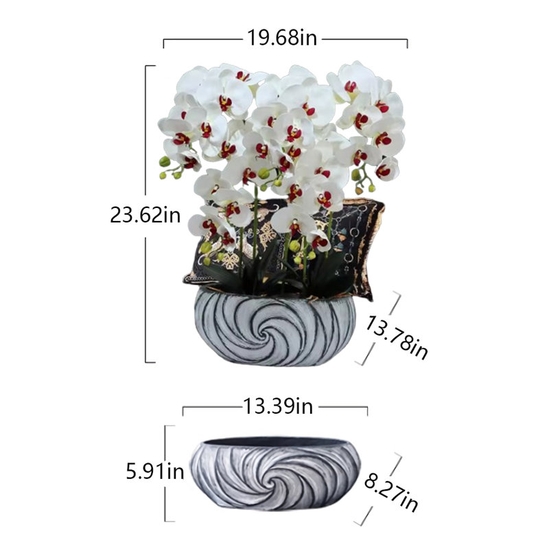 23,62 Plante
