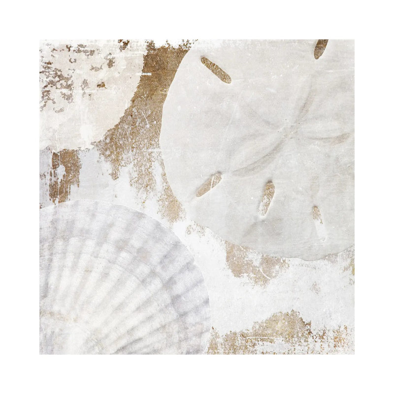 White Shells I by Irena Orlov - Wrapped Canvas Painting, 30.48cm H x 30.48cm W x 1.91cm D