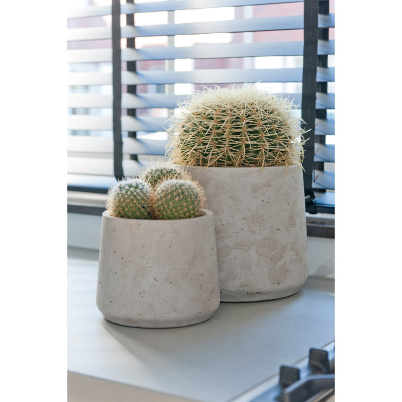 Patt M, gris délavé, Gris délavé